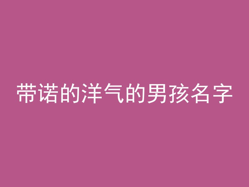 带诺的洋气的男孩名字