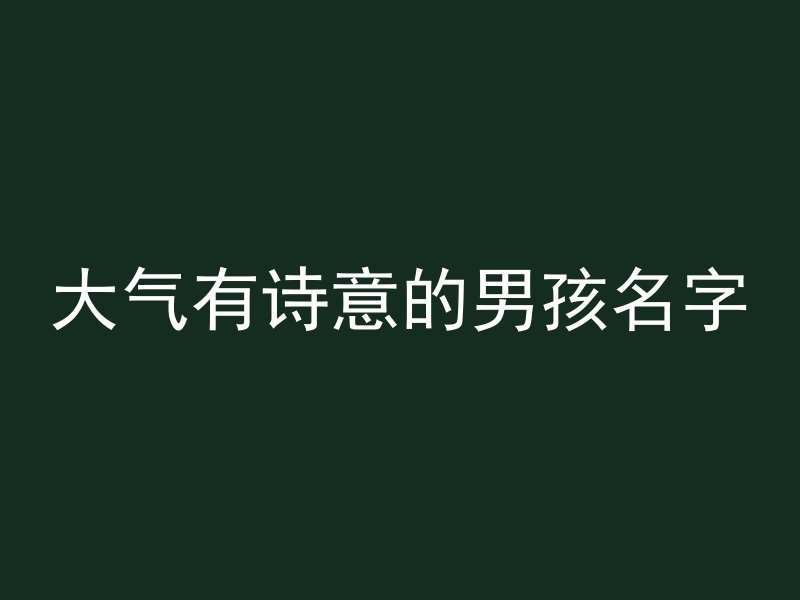 大气有诗意的男孩名字