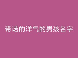 带诺的洋气的男孩名字