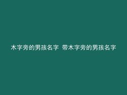 木字旁的男孩名字 带木字旁的男孩名字